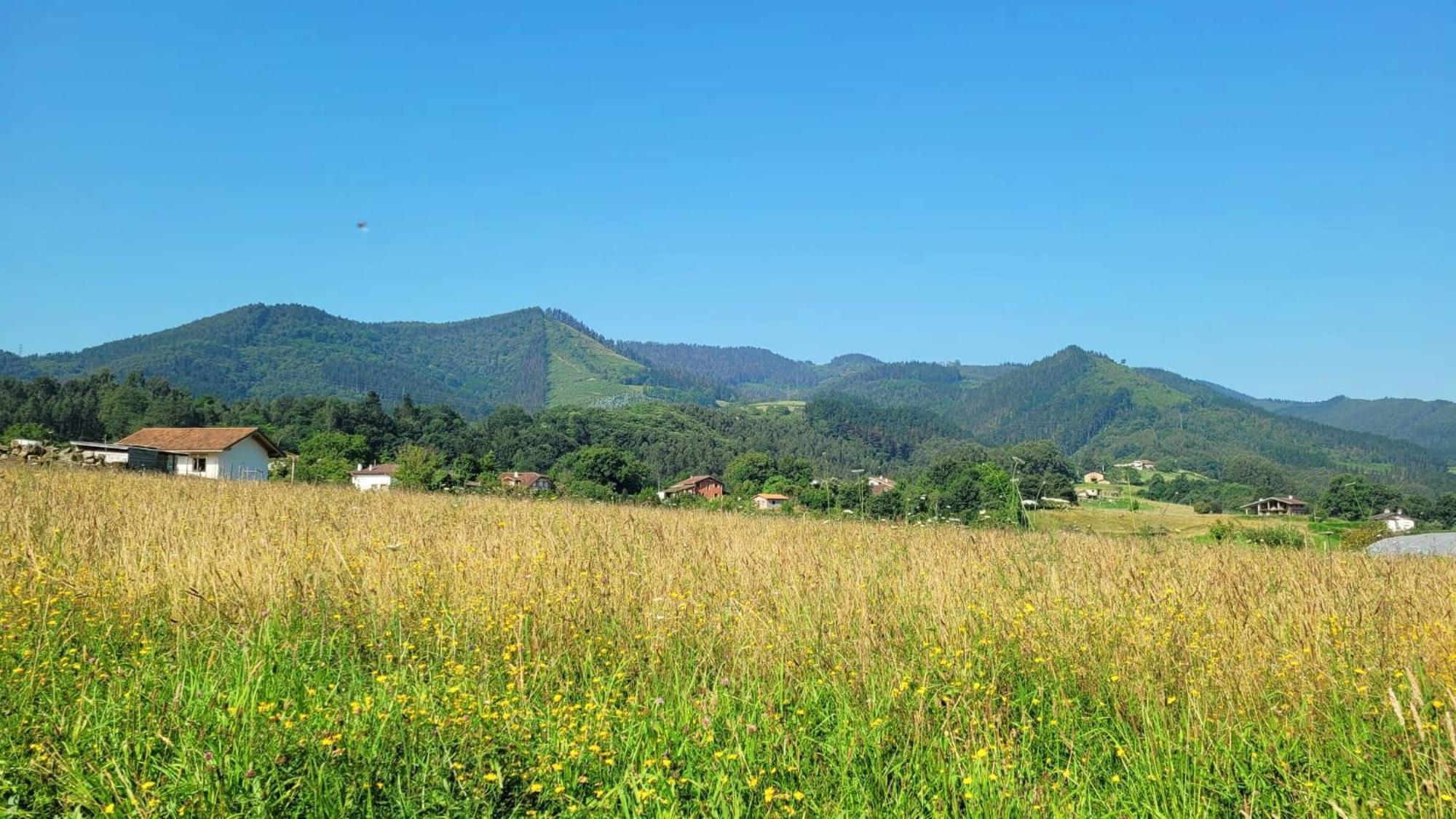 Hotel Aldori Landetxea - Reserva De La Biosfera Urdaibai - Adults Only Muxika Luaran gambar